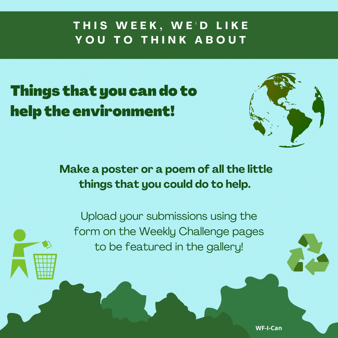 Little things you can do to help the environment