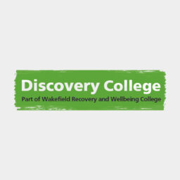 Discovery College logo on light grey background