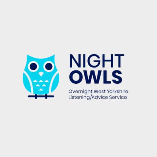 Blue Night OWLS logo on a light greay background
