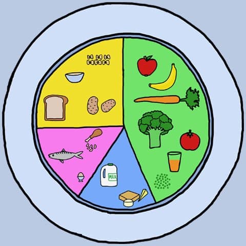 balanced meal plate illustration