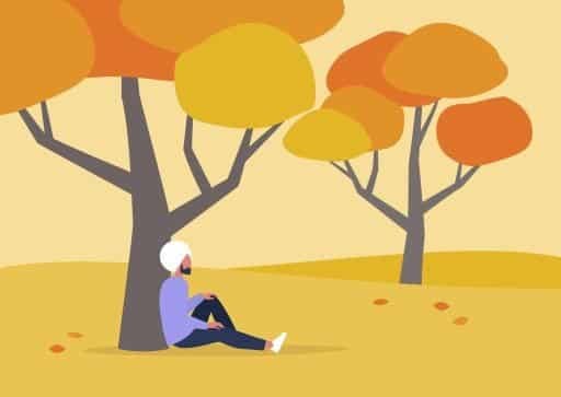 person with beard, wearing a white turban, sat beneath a tree during Autumn